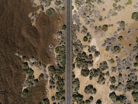 A straight sealed road seen from directly above, running through dry scrub and bare brown earth