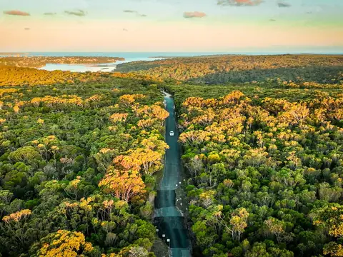 Aerial view of a road running straight through thick bush lit gold by the late sun, with the coast on the horizon