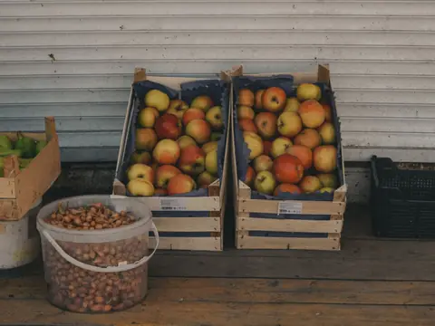 Two wooden crates of apples and a bucket of onions on a wooden floor