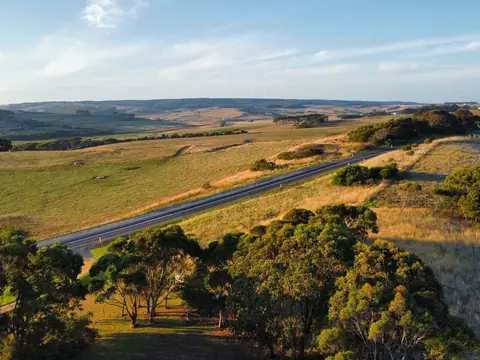A country highway crossing rolling golden grassland and gum trees in low evening sun
