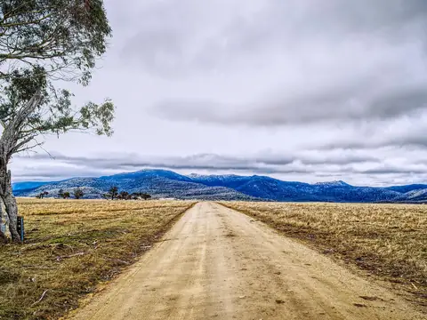 A gravel road running across dry grassland towards a blue mountain range, with a large gum tree at the left